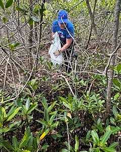 Baynanza Bay clean up.
